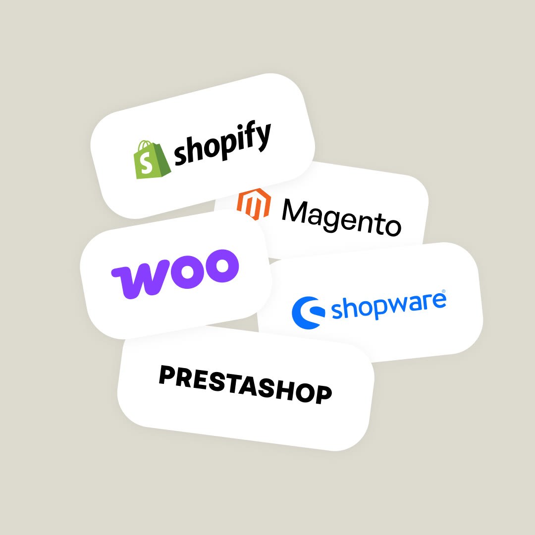 Shopify platform